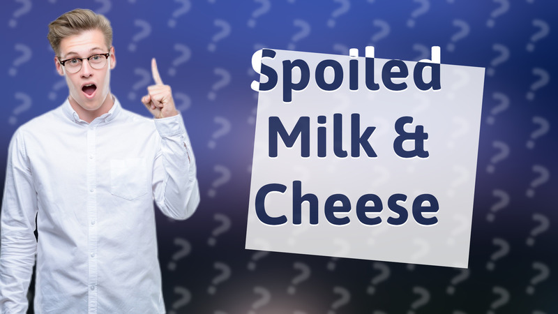 Spoiled Milk & Cheese