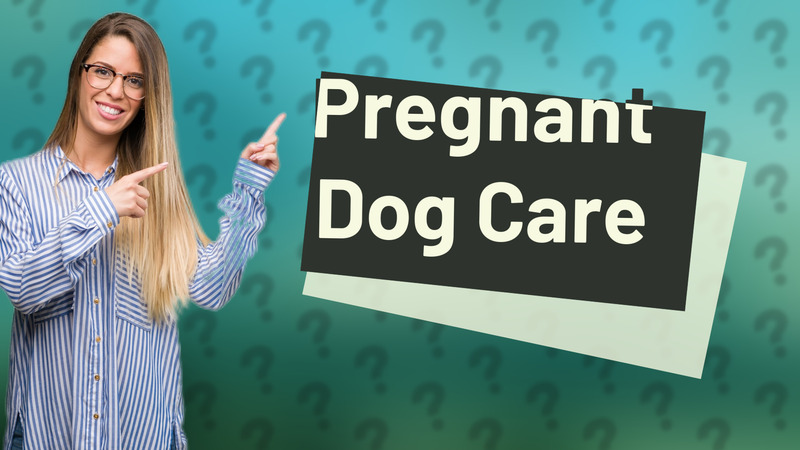 Pregnant Dog Care