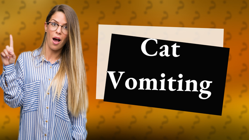 Cat Vomiting