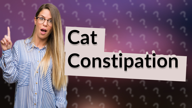 Cat Constipation