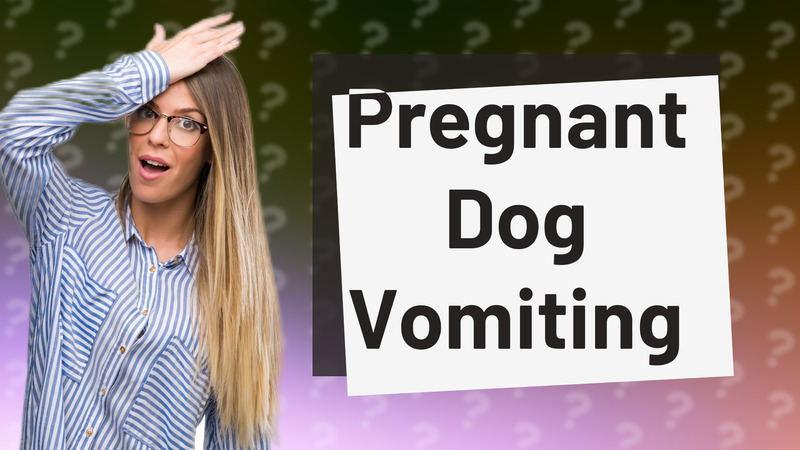 Pregnant Dog Vomiting