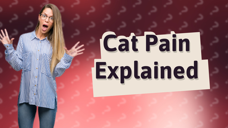 Cat Pain Explained
