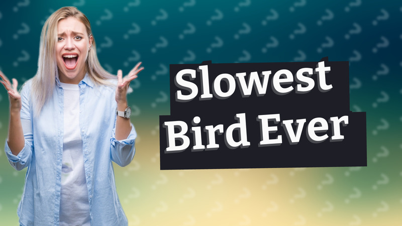 Slowest Bird Ever