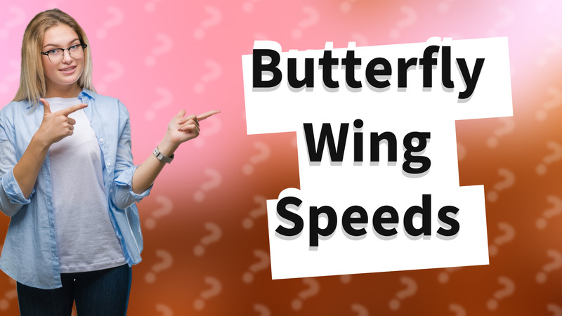 Butterfly Wing Speeds