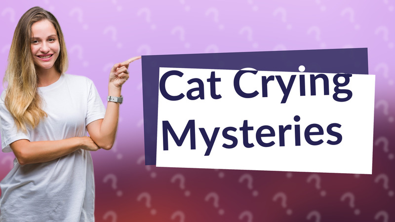 Cat Crying Mysteries
