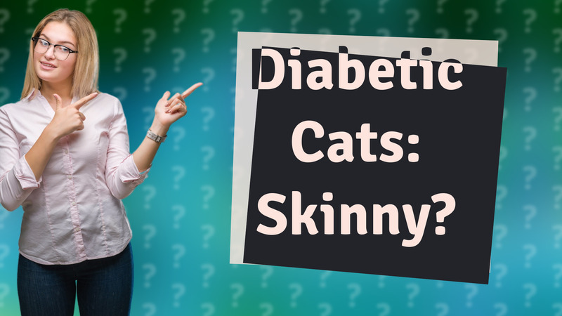 Diabetic Cats: Skinny?