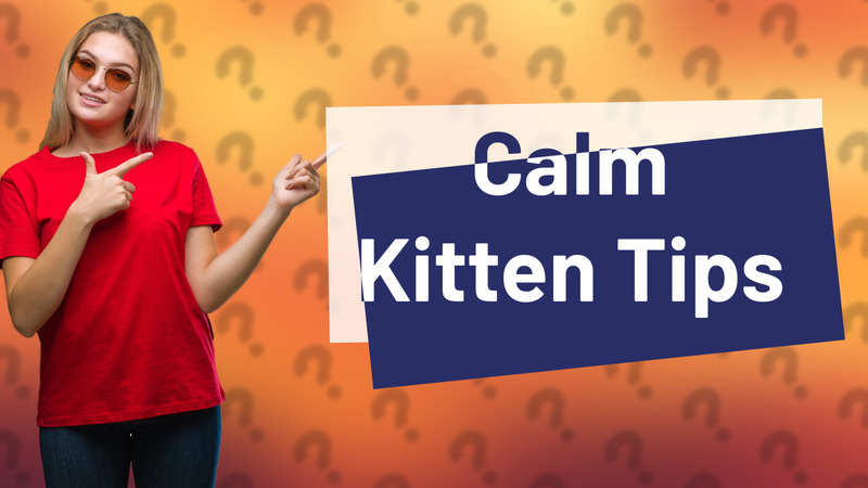 Calm Kitten Tips