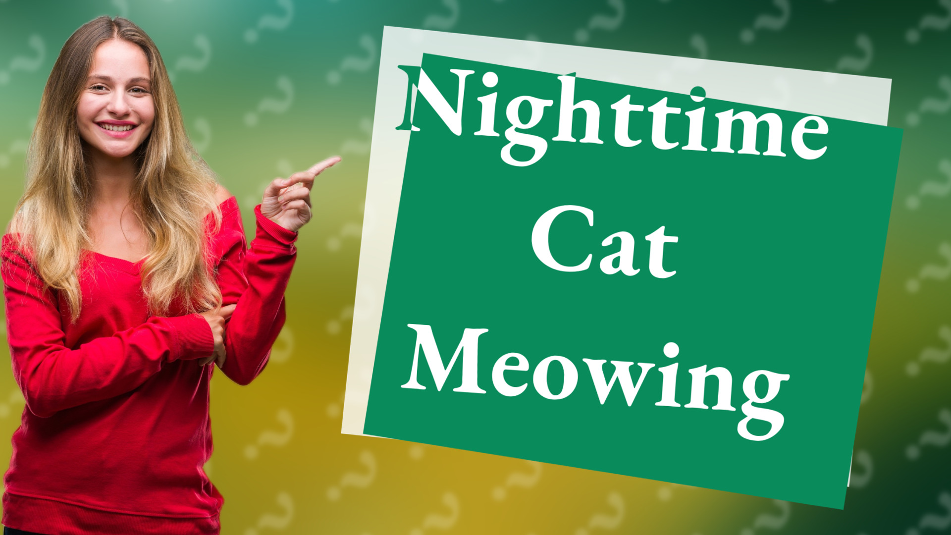 Nighttime Cat Meowing