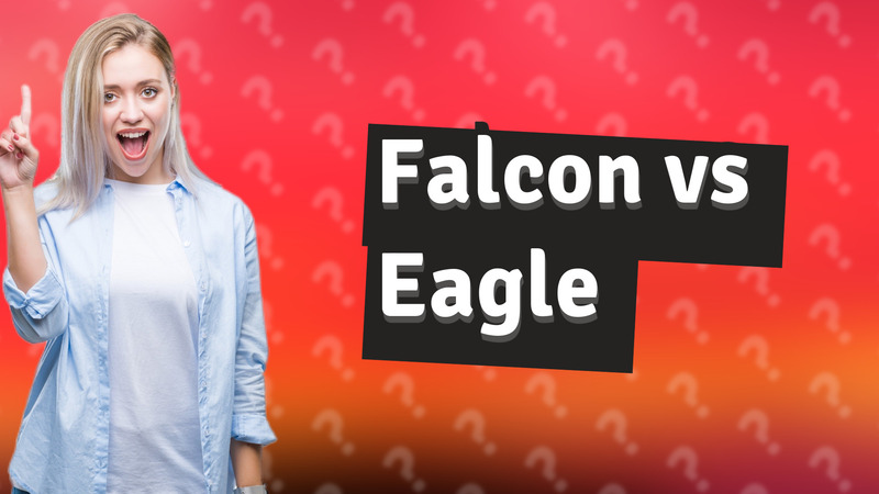 Falcon vs Eagle