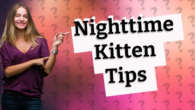 Nighttime Kitten Tips