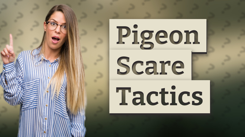 Pigeon Scare Tactics