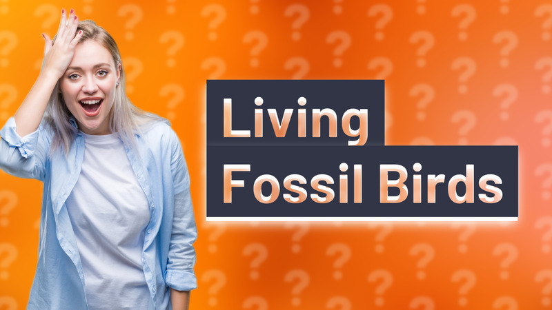 Living Fossil Birds