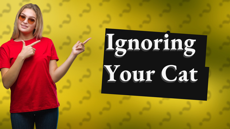 Ignoring Your Cat