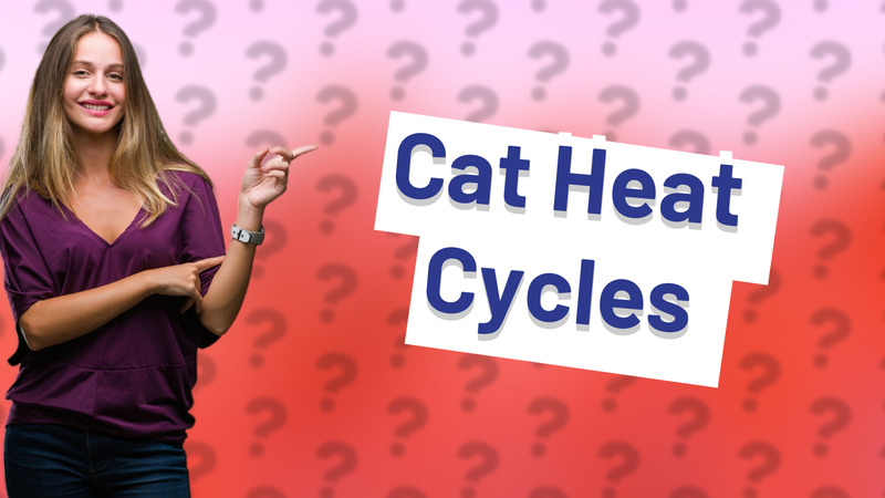 Cat Heat Cycles