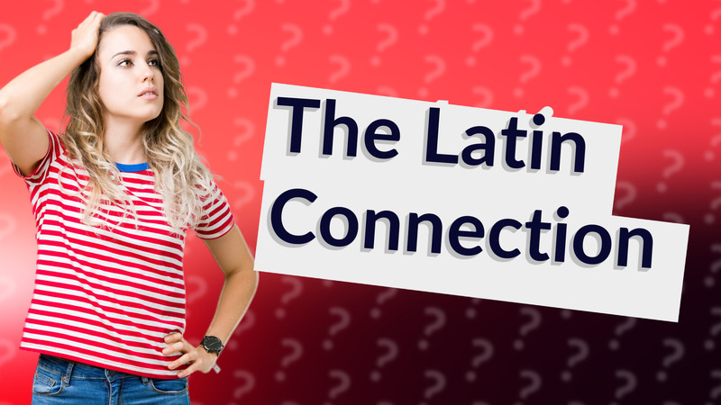 The Latin Connection