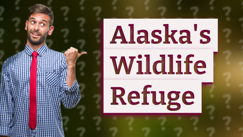 Alaska's Wildlife Refuge