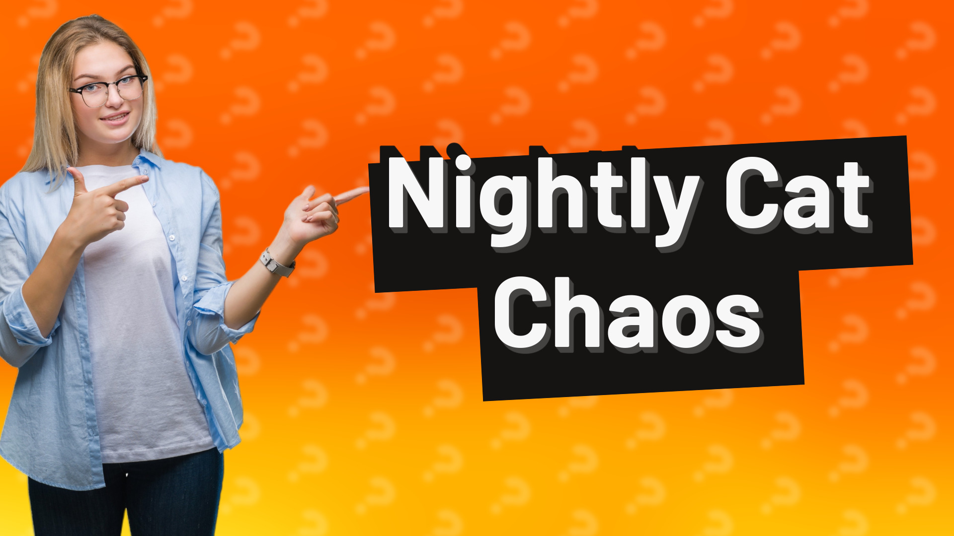 Nightly Cat Chaos