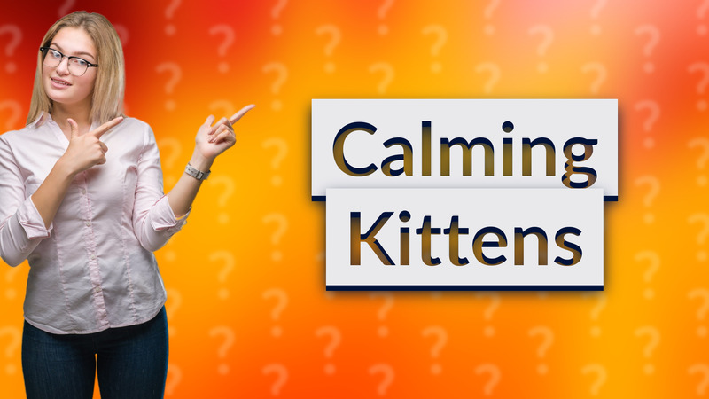 Calming Kittens