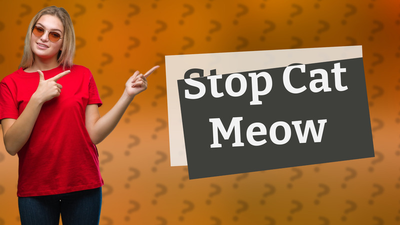 Stop Cat Meow