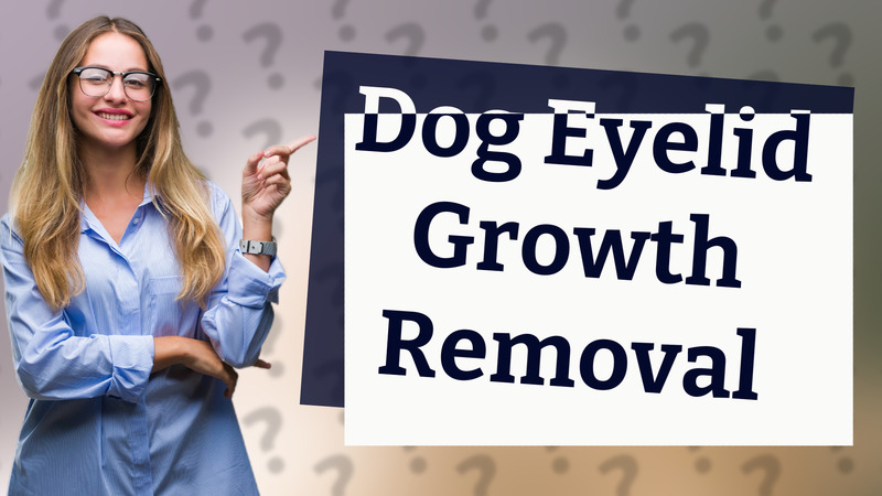 Dog Eyelid Growth Removal