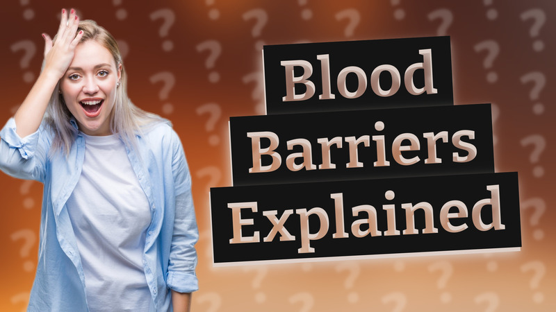 Blood Barriers Explained