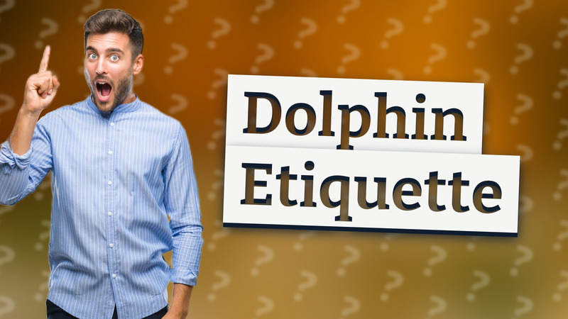 Dolphin Etiquette