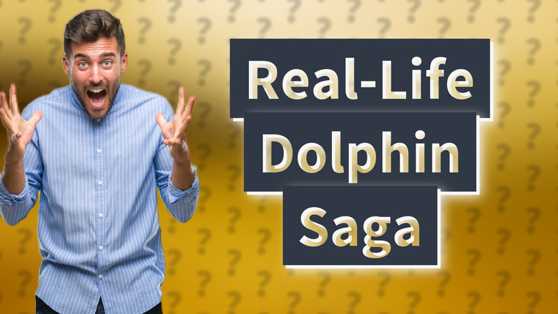 Real-Life Dolphin Saga
