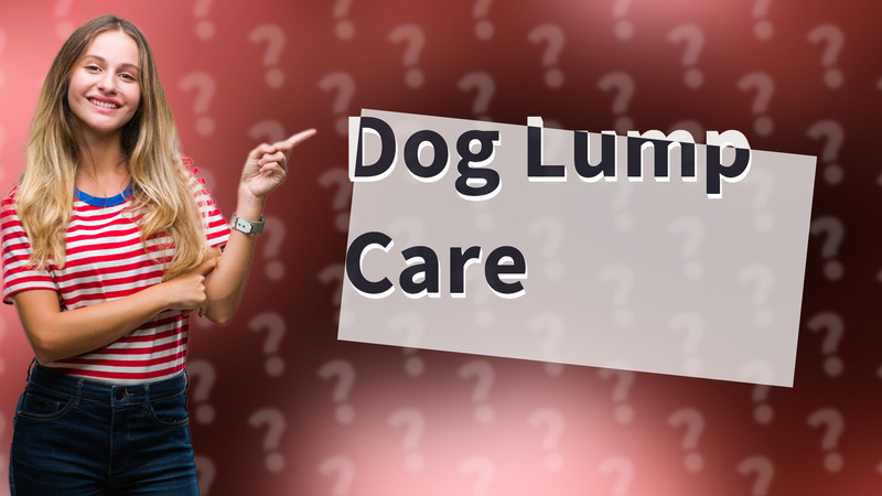 Dog Lump Care