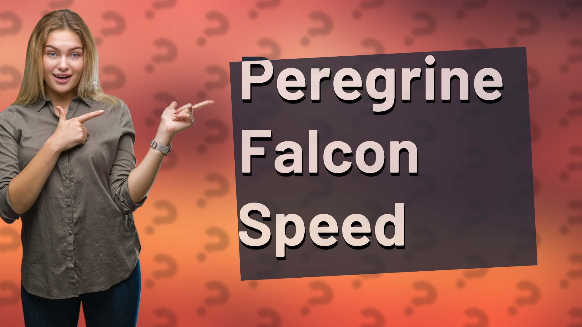 Peregrine Falcon Speed