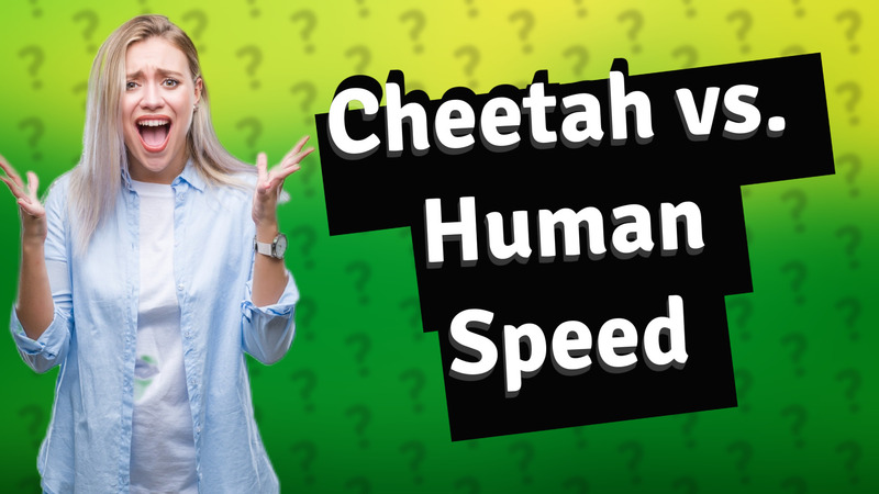 Cheetah vs. Human Speed