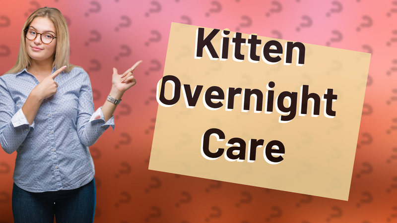 Kitten Overnight Care