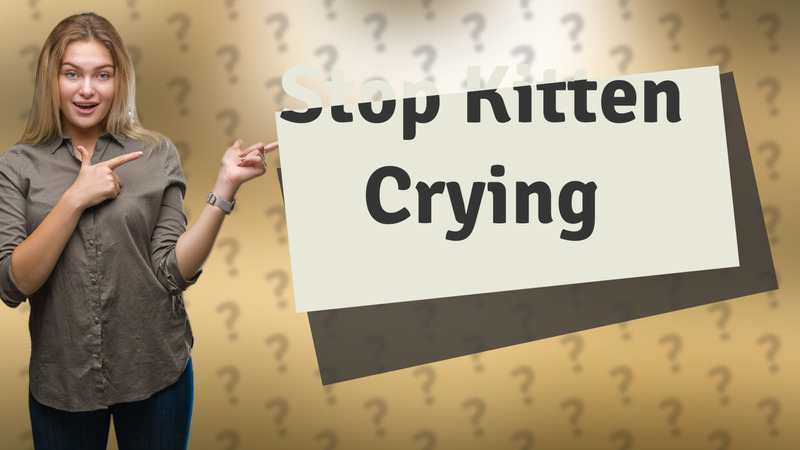 Stop Kitten Crying