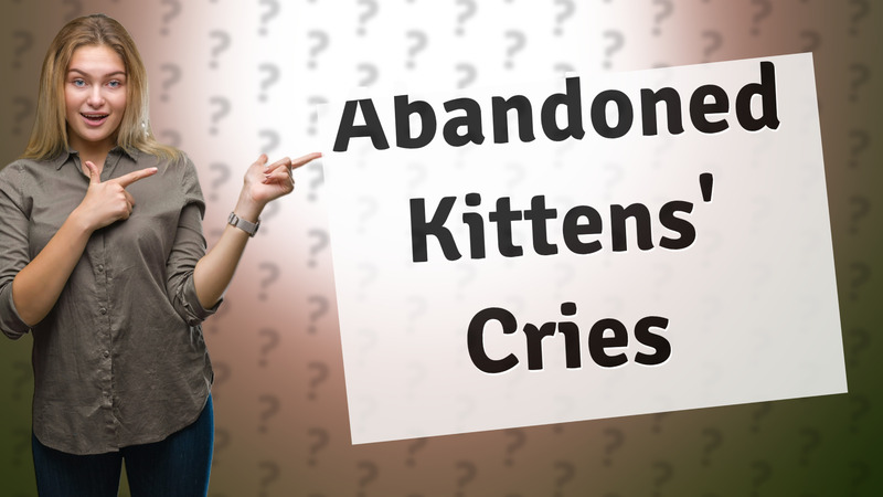 Abandoned Kittens' Cries