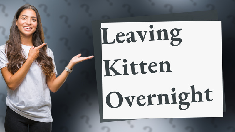 Leaving Kitten Overnight