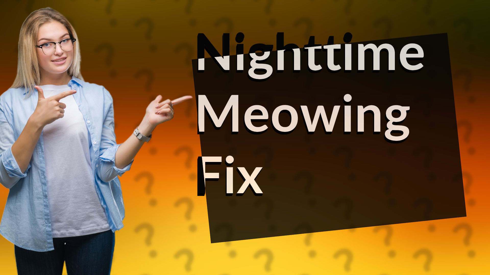 Nighttime Meowing Fix