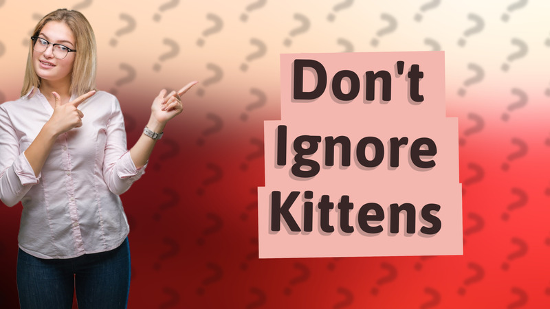 Don't Ignore Kittens