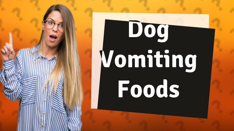 Dog Vomiting Foods