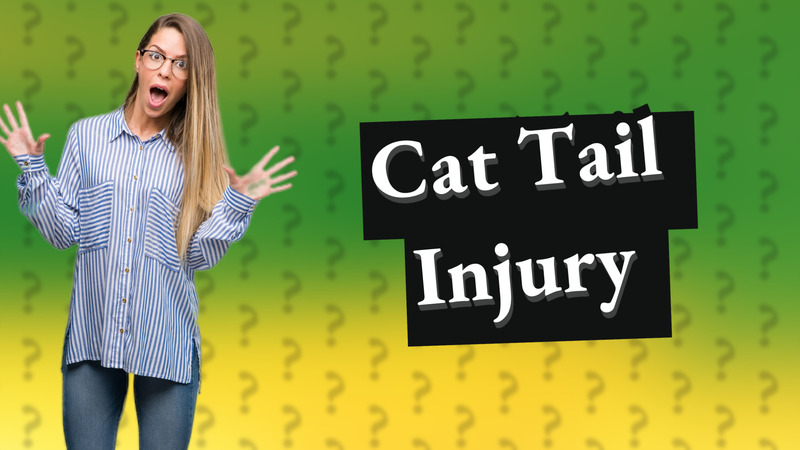 Cat Tail Injury
