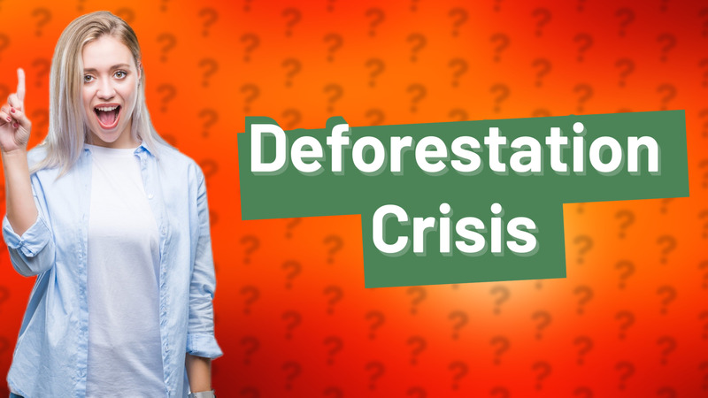 Deforestation Crisis