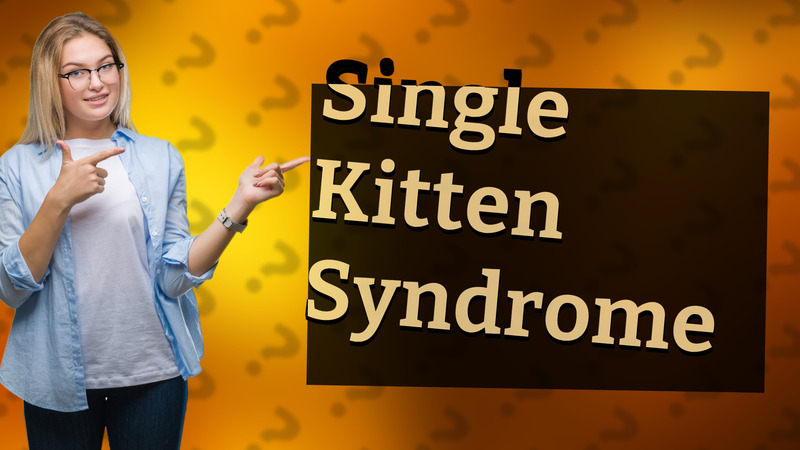Single Kitten Syndrome