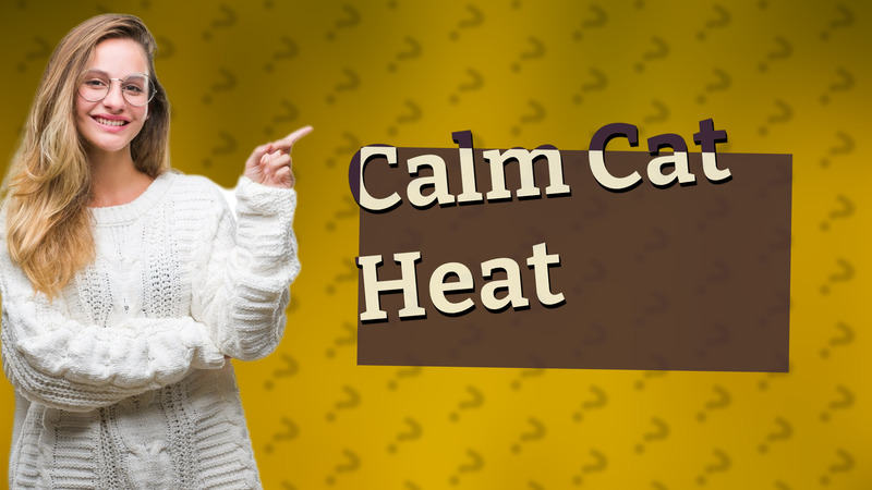 Calm Cat Heat