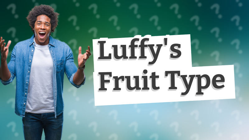 Luffy's Fruit Type