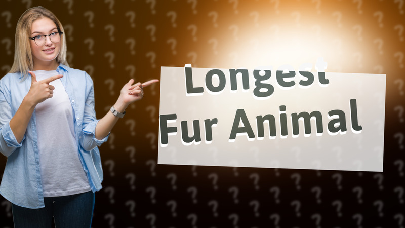 Longest Fur Animal