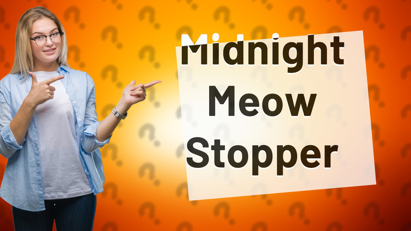 Midnight Meow Stopper