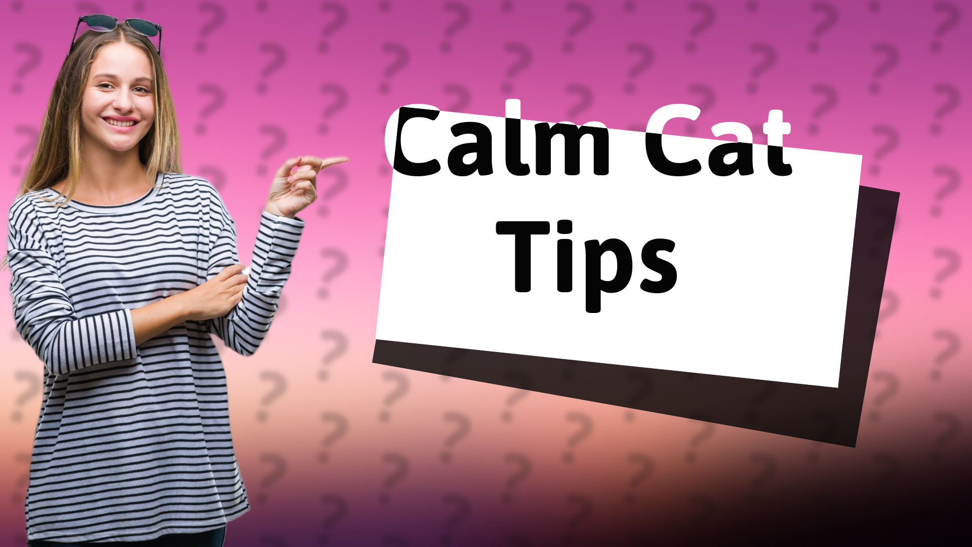 Calm Cat Tips