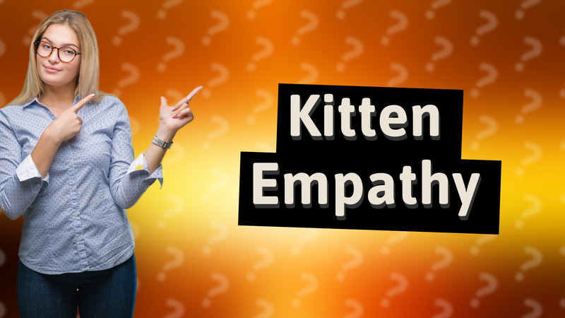 Kitten Empathy