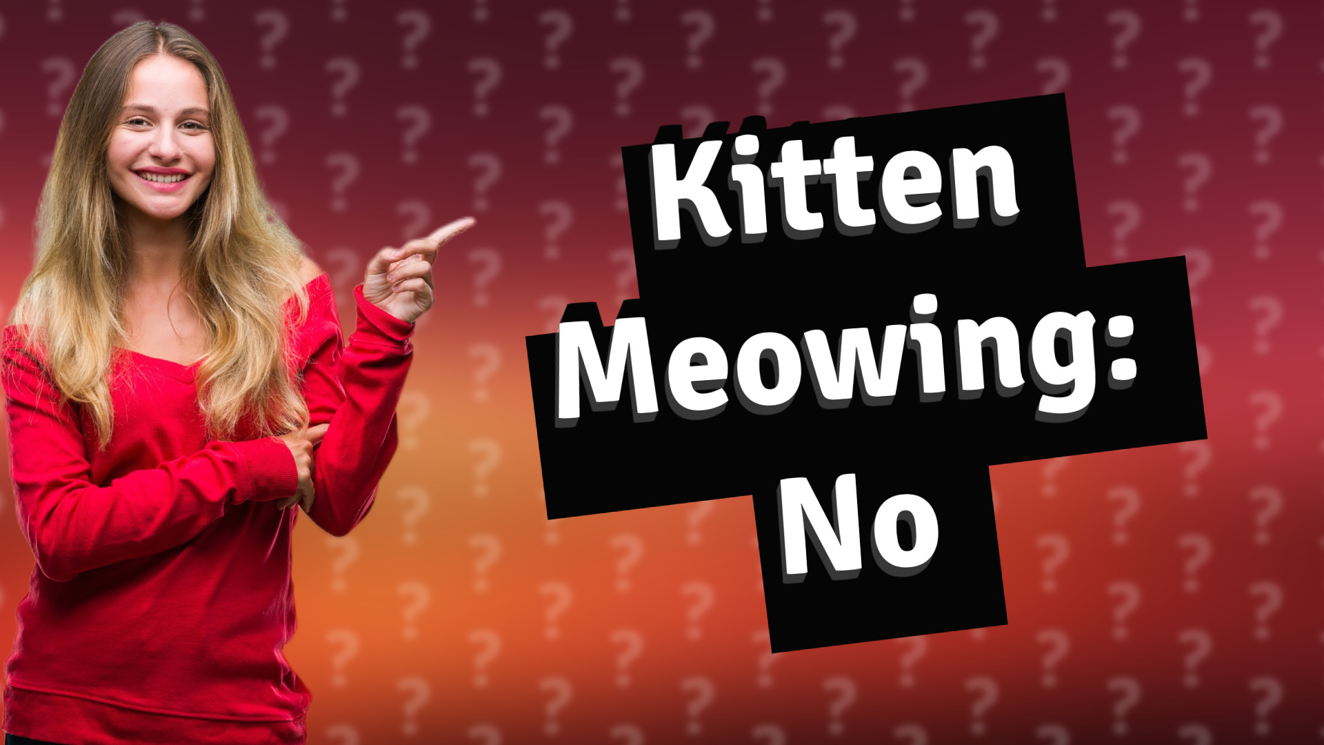 Kitten Meowing: No