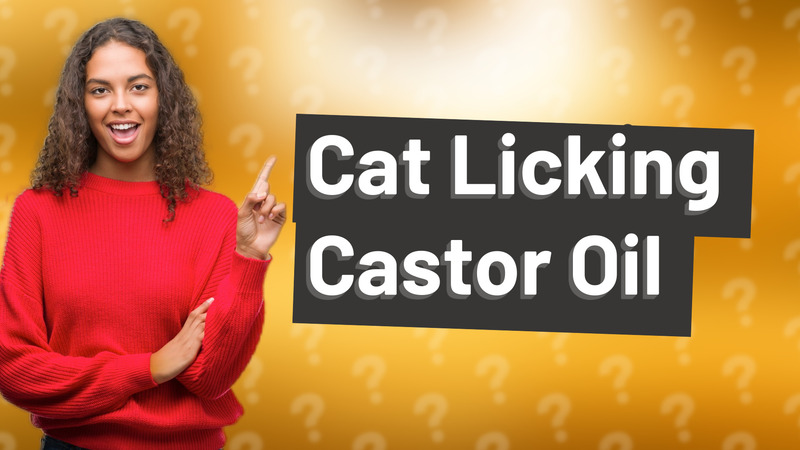 Cat Licking Castor Oil