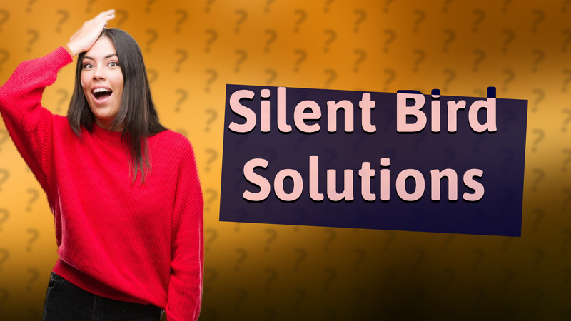 Silent Bird Solutions