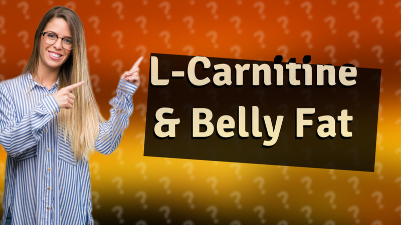 L-Carnitine & Belly Fat